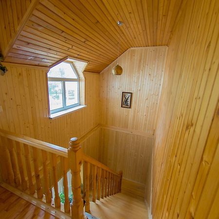 Guest House Suzirya Karpatヤレムチャ エクステリア 写真