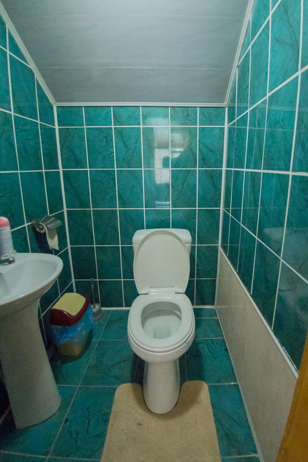 Guest House Suzirya Karpatヤレムチャ エクステリア 写真