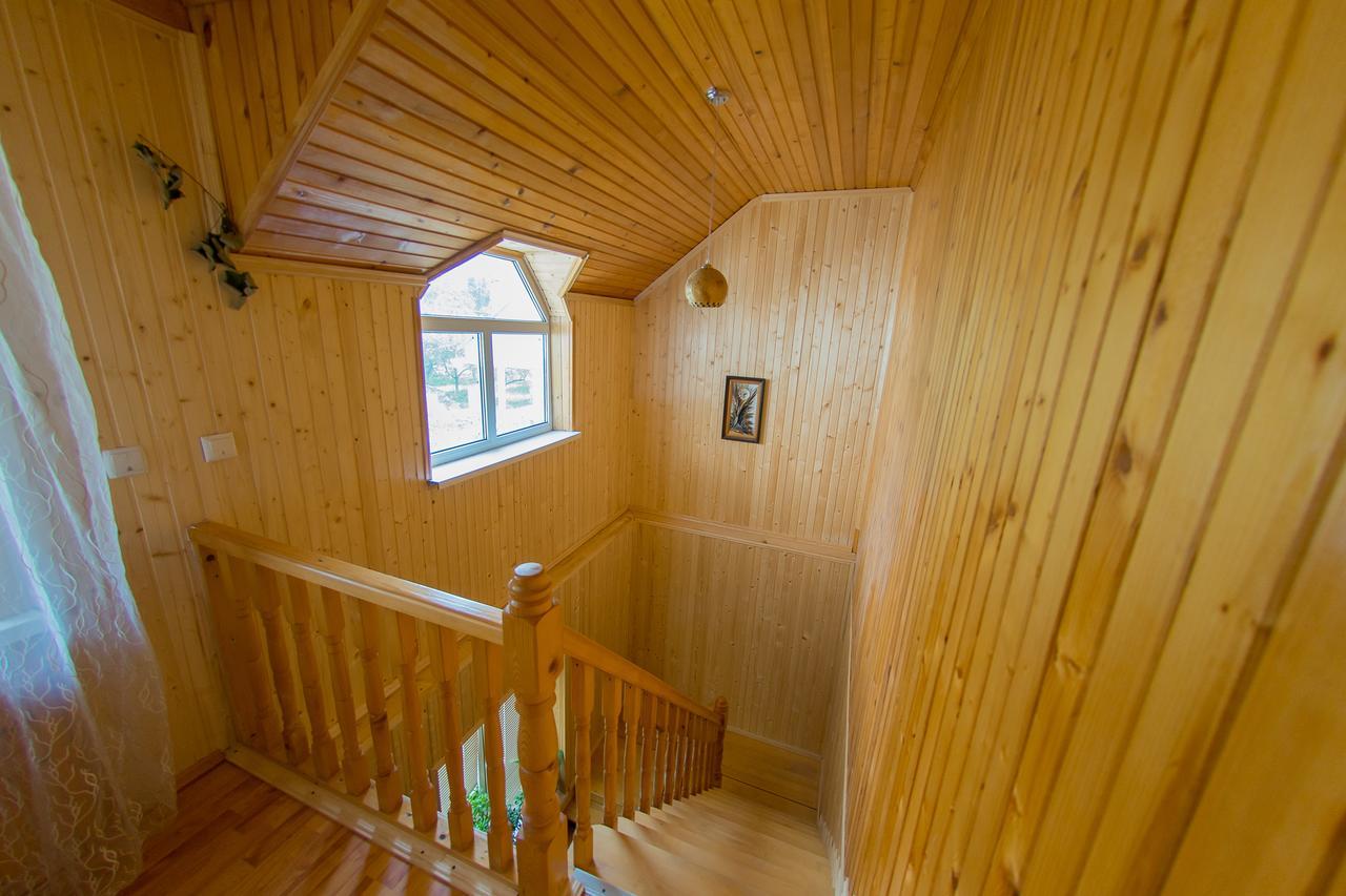 Guest House Suzirya Karpatヤレムチャ エクステリア 写真